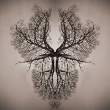 Tree Art