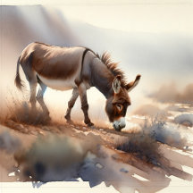 Farm Animals