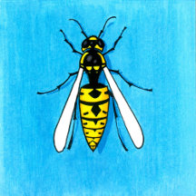 Bug Series