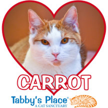 Carrot