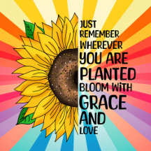 Hand Drawn Sunflower and Quote