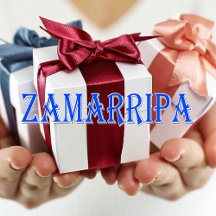 Zamarripa_Name T-Shirt