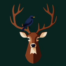 Animal illustrations