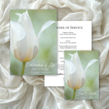 White Tulip Flower Spring Funeral Memorial