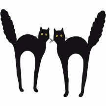 Black Cat