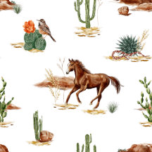 The Wild West 