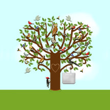 CREATIVE FAMILY REUNION  IDEAS