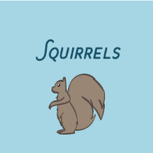 Squirrels