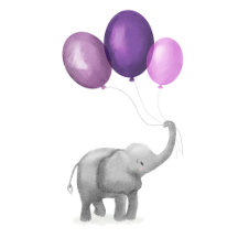 Everyone loves elephants