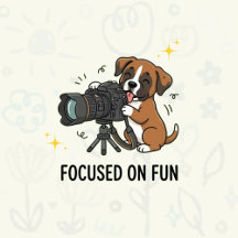 Boxer Dog: Focused on Fun