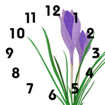 Clocks
