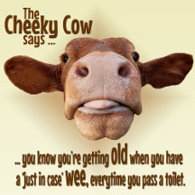 Cheeky Cow