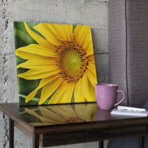 Beautiful Canvas Art