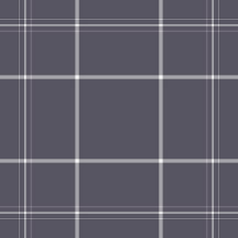 Plaid No. 65