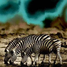 ANIMAL PRINT COLLECTION