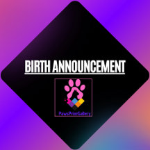 Birth Announcement