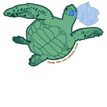Sea turtles