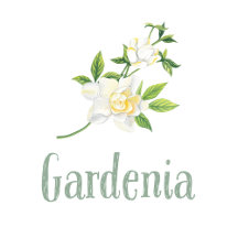 Gardenia Wedding Invitations