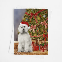 Dog Watercolor Christmas Cards