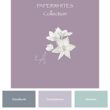 Paperwhites Collection