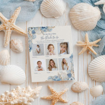 Elegant Seashell Border