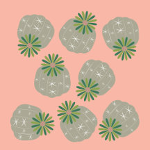 CACTI LUSH