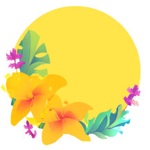 Wireless Charger Collection