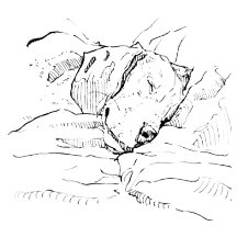 Beagle Art Collection
