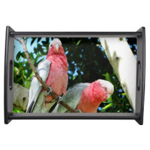 Australian Wildlife Serving Trays