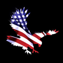 USA - AMERICA 
