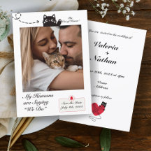 My Humans are Saying We Do Cat Photo