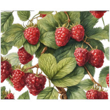 Berry Beautiful Bridal Shower Tea Time