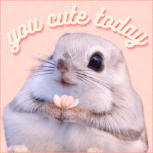 Cute