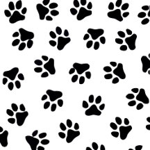 Pets