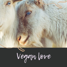 Vegan Love