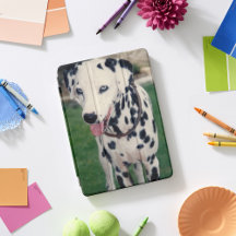 My Pet Friend Portrait Upload Your Own Photo