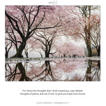 GOD'S PROMISES SCRIPIX'S - CARDS & INVITATIONS