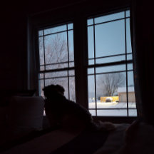Nicky's Window