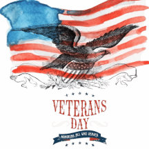 American patriotic spiral note book