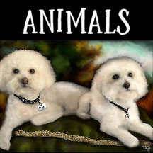 Animals