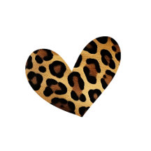 Leopard Zebra Animal Prints