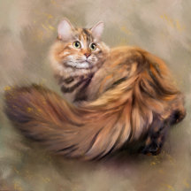 Siberian cat 