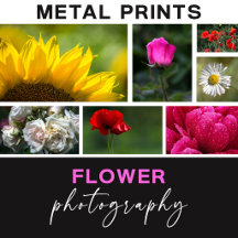 Flower Photography Metal Prints