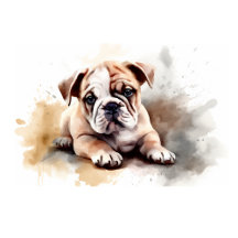 Bulldog