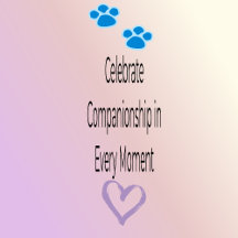 Chic Gradient PawPrint Companion Collection