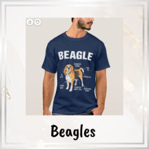 Beagle Dog Breed