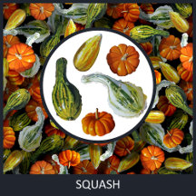 Pumpkin, Squash Autumn Harvest