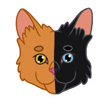Chimera Cat