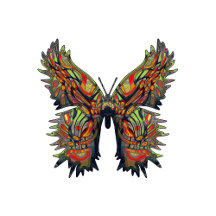 Butterflies 