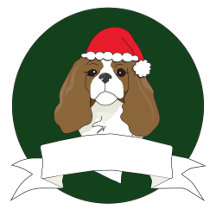 Blenheim Christmas